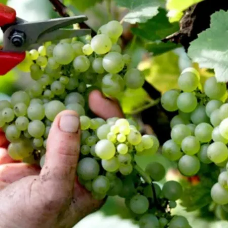 Fasthotel Reims Est - 3* Taissy