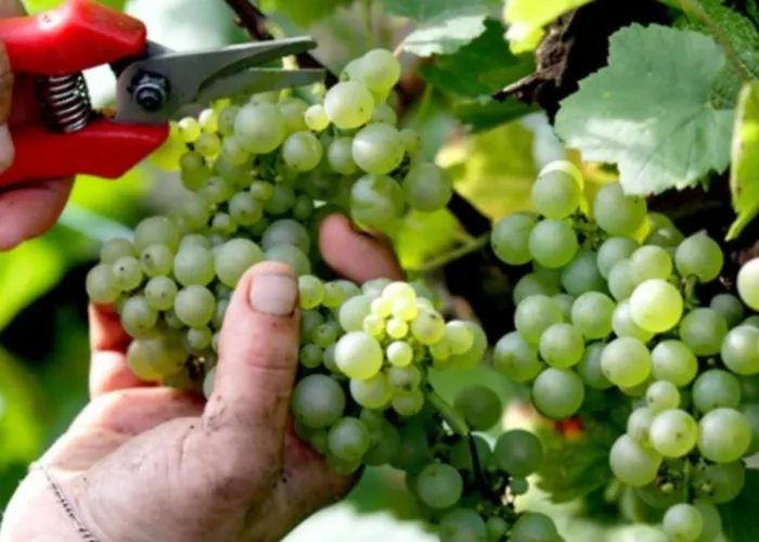 Fasthotel Reims Est - Taissy 3* Taissy